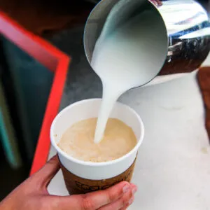 16oz Cappuccino